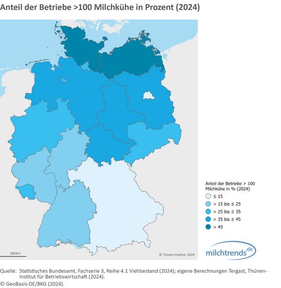 Anteil der Betriebe >100 Milchkühe in Prozent (2024)