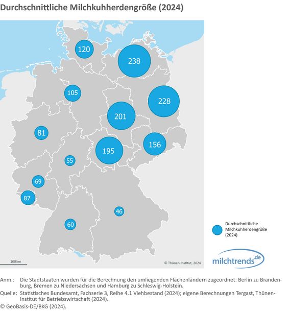 Durchschnittliche Milchkuhherdengröße (2024)